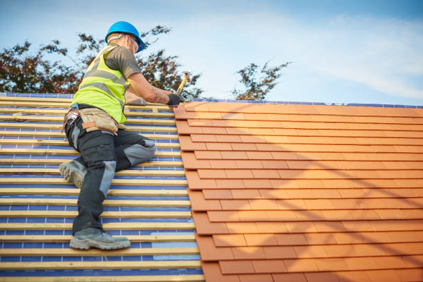 Best Metal Roofing Installation  in Columbia, IL